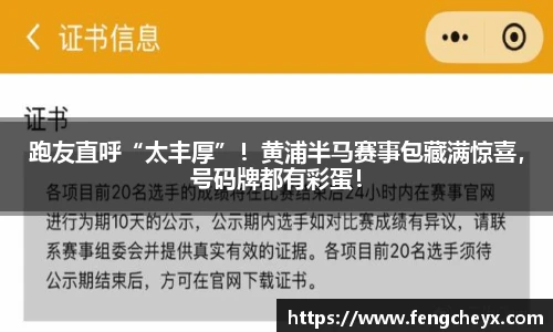 世界杯实时比分
